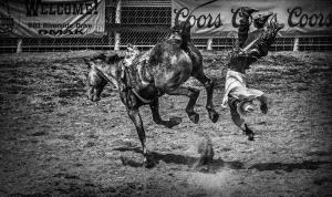PhotoVivo Gold Medal - Xuehai Lu (China)  Tumble Off A Horse