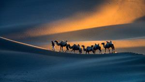 IUP Honor Mention - Zhenghua Peng (China)  Desert Journey