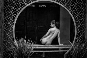 PhotoVivo Gold Medal - Kim-Hock Tan (Singapore)  Nude In Frame