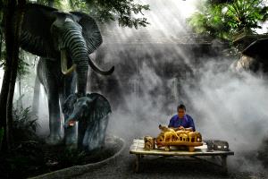 APAS Gold Medal - Roger Khoo (Singapore)  Elephant Crafter
